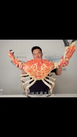 Tasmanian giant crab..#giantcrab #fyp #foryou 