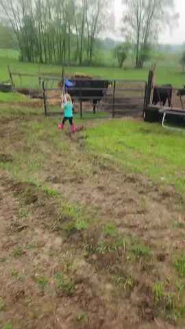 When the cows need moved, I call in the best 3 yr old Cattle Wrangler in the business ❤️#cattle #smallfarm 