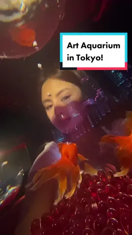 Ang gandang aquarium naman nito sa Tokyo! #japan #pinoyinjapan #tiktokjapanphilippines #tiktokjapan #adayinmylife #adayinmylife #Vlog #viral #fyp #aquarium #museum