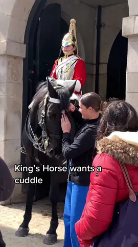 #lifeguards #foryoupage  #tiktokviral #viraltiktok #viralvideo #videoviral #follow #subscribe #like #share #bestvideo #fypviral #horseguardsparade #changingoftheguards #royalguards #thekingsguards #kingsguard #kingshorse #fyp #foryou #fypシ #fanpage #tourists #london 