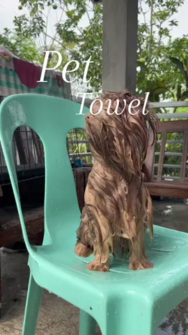 The best essential for me! #pettowel #petsup #bathessentials #dogsoftiktok #shihtzusoftiktok #fypシ 