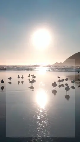 Jangan cuma berteori, tapi praktekan teorinya. ✨ #quotesoftheday #quotes #quoteoftheday #storykatakata #quotesbijak #katakatabijak #jamescashpenney 