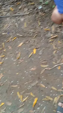 mình bướm bên kia chuối trắng ae, em nó mai mắn tiếp tục thi đậu lớp 3, chúc ae ngày mới mai mắn nha 🥰