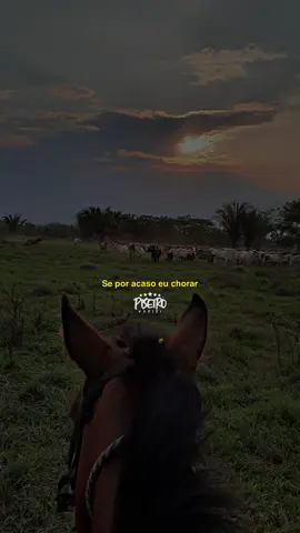 Ô modão 😮‍💨🥃🎶 #bondedovaqueiro #antigas #foryou #viral 