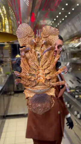 Considerato uno dei crostacei più buoni al mondo, sapete come si chiama? #innovative #giuseppescicchitano  #restaurant #ristorantedipesce #napoli #cicalamagnosa #cicala  