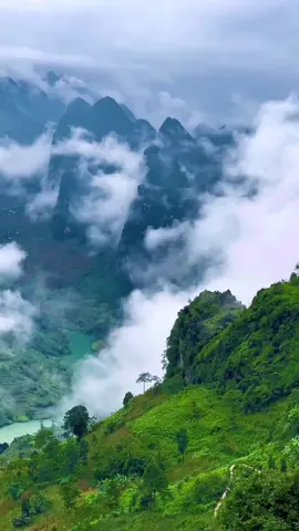 Thiên nhiên ban tặng vùng đất Hà Giang một vẻ đẹp hùng vĩ mà không nơi đây có được.#cảnhđẹpthiênnhiên #thiênnhiênhùngvĩ #xuhuongtiktok2023 #xuhuong2023tiktok #view #thiênnhiên #nature #canhdep #beautifulday #cảnhđẹpviệtnam #bìnhyên #nhạcchillcảnhđẹp #tiktoktravel #videocảnhđẹpchill #phongcảnhviệtnam #yênbình #travel #travelvietnam #travelvlog #vietnam  #23hagiang #xuhuong2023tiktok🥰 