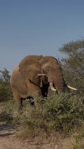 the videos under this sound make me all gooey inside 