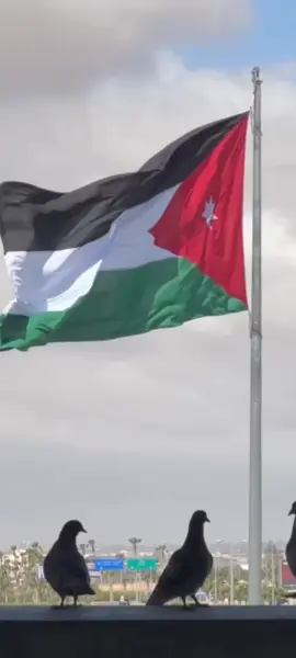 الكل يعلق بعلم الأردن 🇯🇴⚔️#عيد_الاستقلال77 #علمنا_عالي #حب_الاردن🦅🇯🇴 #الاردن🇯🇴 #الاستقلال_الاردني #explore #jordan #amman #viral #ترند #عيد_الاستقلال77 