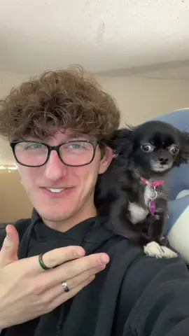 Parrot Gaming Puddin 😭❤️ #1jolly1 #dogs #pets #PetsOfTikTok #fyp #foryoupage 