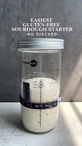 𝕋ℍ𝔼 𝔼𝔸𝕊𝕀𝔼𝕊𝕋  𝔾𝕃𝕌𝕋𝔼ℕ-𝔽ℝ𝔼𝔼 𝕊𝕆𝕌ℝ𝔻𝕆𝕌𝔾ℍ 𝕊𝕋𝔸ℝ𝕋𝔼ℝ ℝ𝔼ℂ𝕀ℙ𝔼 𝔼𝕍𝔼ℝ ♡ sᴛᴀʀᴛᴇʀ ᴊᴀʀ ᴋɪᴛ ғʀᴏᴍ @knead_ace ᴇxᴄʟᴜsɪᴠᴇ ᴅɪsᴄᴏᴜɴᴛ ʟɪɴᴋ ɪɴ ʙɪᴏ! Ok Fam, you have been asking for a GF Starter recipe forever so here we are!  I hope you’re as excited as me because I am about to share with you the easiest way to build a new GF sourdough starter from scratch EVER, and with zero waste! 🤗🤗🤩🤩 No tricks, no gimmicks, no complicated instructions nor ingredients 👌👌 Things you need : ✅ A clean jar  ✅ Water ✅ Gluten-Free Flour (I used Brown Rice Flour)  ✅ A Tablespoon (or 15g) Optional but recommended  ✅ A sturdy, flat-edged spatula ✅ An elastic band I posted a video on 8 April 2023 where I shared how to build a sourdough starter with zero discard and many of you got inspired and were successful in building your own starter. Congratulations! 🥳🥳 Since the requests for a GF starter flooded my inbox soon after, I tested this method with a GF flour and it worked!  💫 Days 1-3 (1X Daily) Add 1 tbsp water + 1 tbsp GF flour  💫 Day 4 onwards (2X Daily)  Add 1 tbsp water + 1 tbsp GF flour And that’s it! No more confusion about how much to discard! This is my very first attempt at building a GF sourdough starter. It took me by surprise when it started to double on the 7th day because there was no visible activity from Days 2-6.  My average proofing temperature was ~25-28C. Excited about the GF bread I can bake with this new starter 🤩🤩 Happy Weekend my lovely Bread Fam ❣️ . . . . . . #Sourdough#homebaking#homemade#guthealth#LearnOnTikTok #glutenfree#glutenfreebaking#bread#bake#artisanbread#explorepage#recipes#fyp#naturalfermentation#asmr#satisfying#bakersoftiktok#homebakerysgkesourdough #masamadre#slime #sourdoughstarter#lievitomadre#bakingtipsandtricksakingtipsandtricks#天然酵母#天然酵母パン@KneadAce 