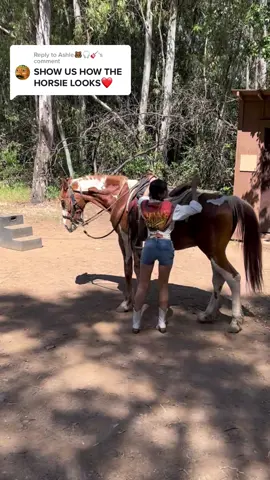 Replying to @Ashle🐻🎧🎸 his name was Sonny and he was the sweetest boy ive ever met 🥹🐎♥️🍄 