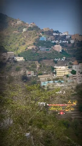 عيش حياتك #ايوب_طارش #فيفاء #اكسبلور #foryou #fypシ #fyp 