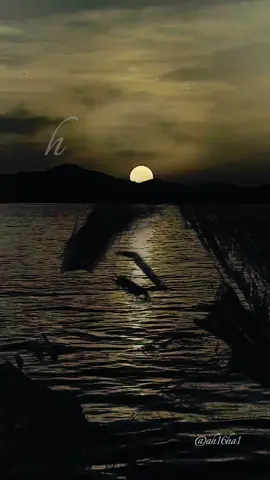 ياكتاب الشمس وكتاب الطلاسم🤍⚘ #سعد_بن_جدلان 