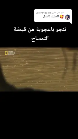 الرد على @user73423375 كل ما هو جديد على #ناشيونال_جيوغرافيك #وثائقي #tiktoklongs #foryoupage #new #fyp #NATlONAL #explore 