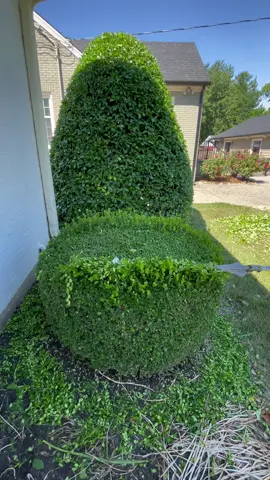 Your daily dose of satisfying lawn care 🤌🏽 #lawntok #fyp #thatlawndude 