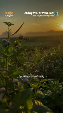 Có buồn nào buồn hơn...#ctmedia #lofi #buonlofi #datlongvinh #changtraisitinhlofi #nguyeenmusic