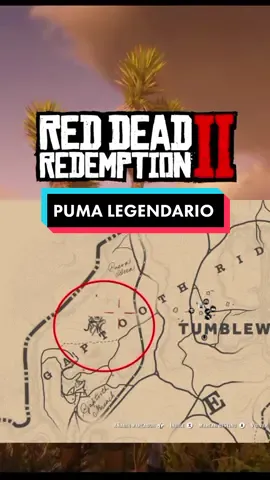 CAZANDO al PUMA LEGENDARIO en RED DEAD REDEMPTION 2.🐆 #reddeadredemption2 #red2 #johnreddeadredemption #animaleslegendarios #xboxone 