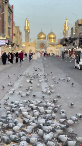 دعاء الفرج احمد الفتلاوي #ياموسى_ابن_جعفر #يامحمد_الجواد #صباح_الخير #صباحكم_أحلى_صباح #الكاظميه_المقدسه_شارع_باب_المراد #دعاء_الفرج #احمد_الفتلاوي #اكسبلورexplore 