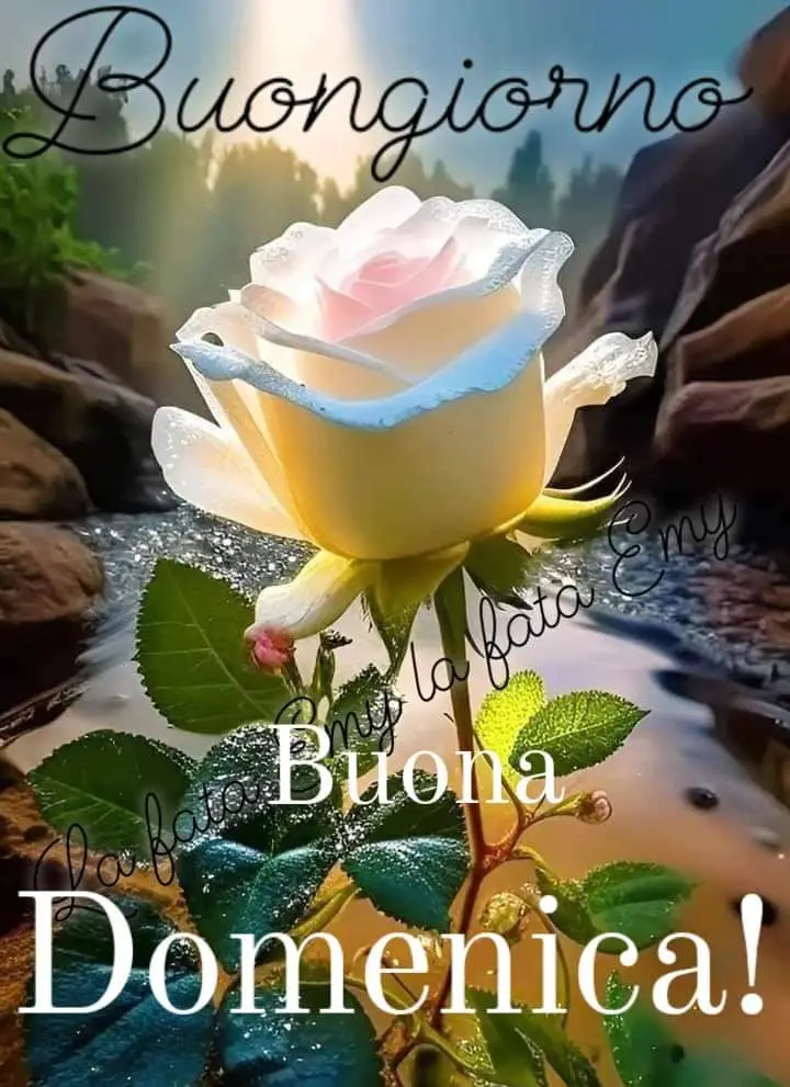 UNA DOLCE E SPLENDIDA DOMENICA A TUTTI VOI AMICI CHE MI SEGUITE❤️❤️❤️🌹🌹🌹🌹#sempreneiperte #foryou #viraltiktok 