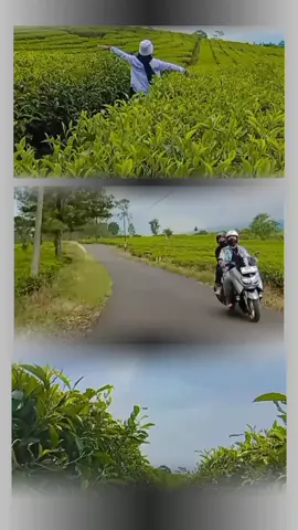 kembali ke luar#CapCut #alamindonesia #storytime #metime#jalanjalan 