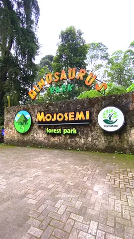 Pernah main ke @Mojosemi Dinosaurus Park  . . . #panoramamagetan #magetanbercerita #magetanberkuliner #mampirmaospati #maospati #magetan #ngawi #madiun #ponorogo #pacitan #karanganyar #tawangmangu #sarangan #magetanhits #indonesia #jawatimur #pesonaindonesia #wisata #sarangan #desa #pedesaan #kuliner #kulinerindonesia #jatim #jateng #reels #reelsinstagram #reelsvideo 