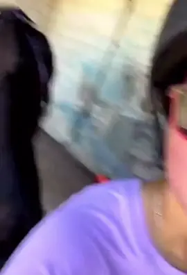 Quit horsing around. 🐴