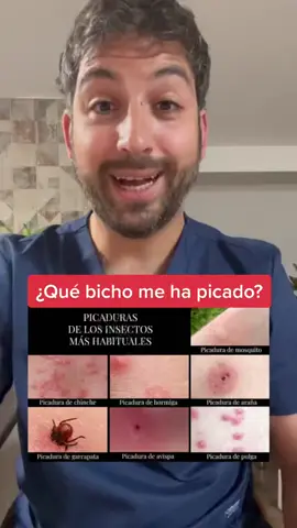 El poema de la picadura en domingos de grandes éxitos #recuerdos  #farmaceuticofernandez #AprendeConTikTok #salud #farmacia #farmaceutico   