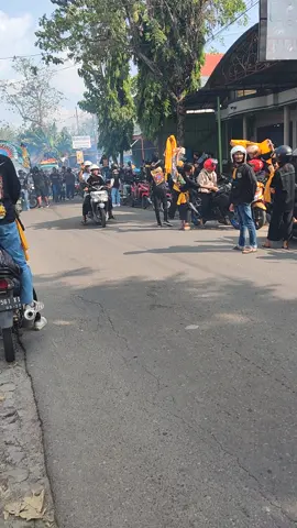 Yoyoyo STK 👌🙏#pshwponorogo #pshwpusatmadiun #esteka1903 #ponorogo_kota_reog 