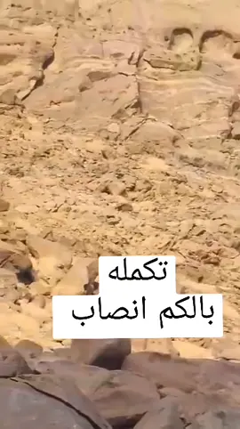 #مقناص_وعول #مرقاب_الصيد #مقناص_الصيد #صيد #غزلان #مقناص #القطة 