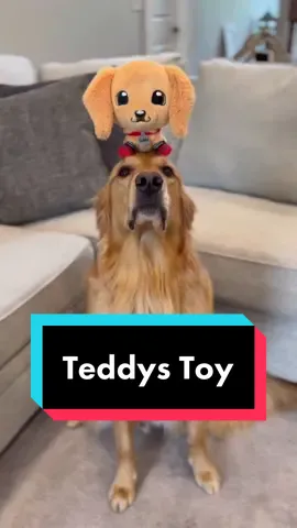 Is this not the cutest toy!? #dog #goldenretriever #toys 