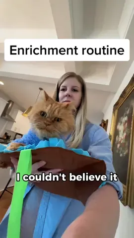 Daily vlog with my disabled cat cappy and reactive dog hadley. Enrichment is so fulfilling 💙🐶🐱🫶