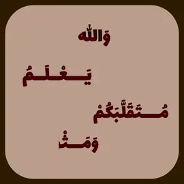 #قران #علي_جابر #fyp 