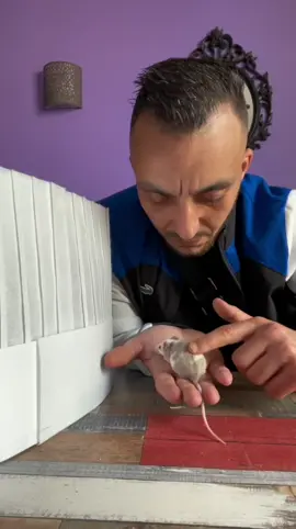 How to escape the matrix.? 😢 #tiktok #fypシ #popular #viral #reaction #ratatouille 