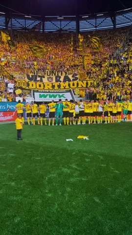 Drei sehr wichtige Punkte, tolle Arbeit die borussen💛 #bvb #bundesliga #theyellowwall 