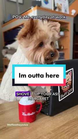 Margaret ruins everything! Love Chris Lilley!  #resigning #MrG #SummerHeightsHigh #summerheightshighmrg #chrislilley #corporate #corporatehumor #corporatelife #corporatecanine #thecorporatecanine #officetok #corporatetiktok #dogtyping #typingdog