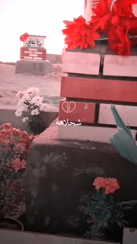 هم فاكد خال💔✨#تلكونه_الفيديو_بلبايو_تلكرام #نعي_حزين #الايام_الصعبة #tiktokindia #دعم_الايام_الصعبة #رضا_قاسم #كربلاء #مسلم_الوائلي #tiktok @ࢪضــــاوي 🦅🪐 