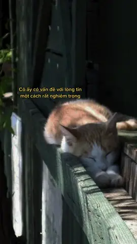 Em đã trải qua những gì thế..? #sad #xuhuong #fyp 