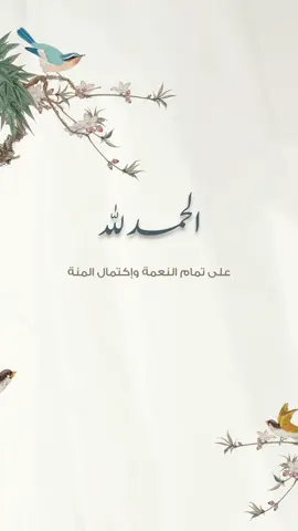 بشاره مولود🤍#اكسبلورexplore #تيك_توك #ترند #دعوات_الكترونيه #تهنةمولود #ولد_اختي #fypシ #بشارة_مولود #تهنئة 