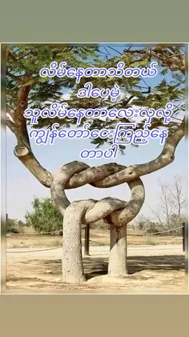 #foryoupage အကွက်လေးတွေလဲလှတယ်