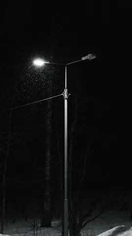 Lại là những ngày tháng cô đơn của a#stt_buồn_tâm_trạng #stt_buồn #Dainn_Sad #sad #thấttinh #nhạcbuồn 