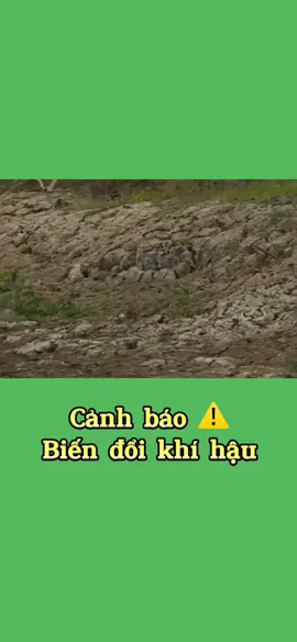Biến đổi khí hậu ảnh hưởng đến #đongbangsongcuulong như thế nào #thitruong #tinhhinhdichbenh #kienthucthuvi #canhtacthongminh #canhtachuuco 