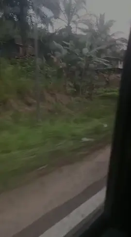 di tempat ini pertama menganal mu #fyp#viral