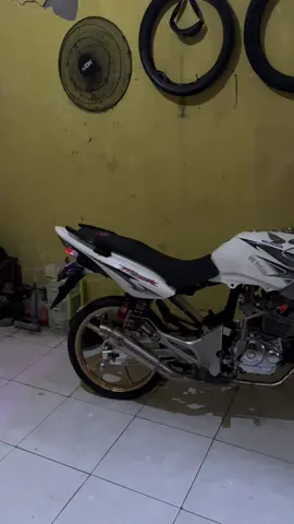 🦍💨#fyp #tigerherex #xyzbca #tigerherex2001m 