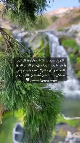 ‏اللهُم ارحم من اخترت لهم الرحيل و اجعل قبورهم أنيسه مُنيره بارده، اللهُم اغفر لهم وأفتح لهم أبوابًا تهبُ منها نسائم الجنة. #صدقة_جارية #ادعو_لموتانا_وموتاكم_بالرحمه #اللهم_ارحم_موتانا_وموتى_المسلمين #فقيدتي #اكسبلور #دعاء #قران_كريم #اكسبلورexplore #TikTokPromote 