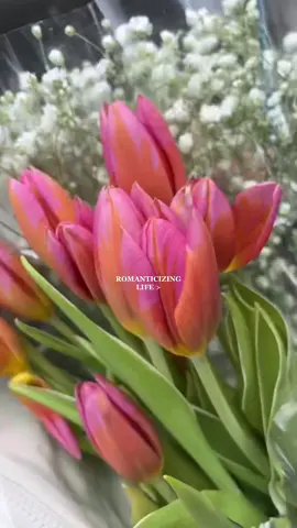 i am so thankful for this life i am living ✨🫶🏼  romanticize the heck out of your life, wake up each day with gratitude and make the absolute best out of everything. we only get one lifetime, make it count!  #aestheticgirl #aestheticvideos #aesthetic #aestheticvibes #aestheticsounds #aestheticedits #aestheticaccount #thatgirlaesthetic #aestheticvideo #thatgirl #romaticizeyourlife #romanticizelife #lifemoments 