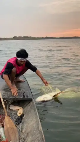 ভাই রে ভাই কি মাছ এইডা? 😮🔥😲#bangladesh #trandingvideo #foryou #fishing #tending #bdtiktokofficial #4m #3m #2m #1m #vairal #vairal_video_tiktok #bd #fry #tiktokviral #topliked #fyp 