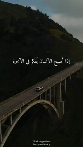 #قلب_صافي #قرآن #إسلام #quran #islam #allah 