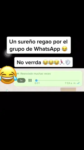No me importa que sea er papá miu 😂#guillermo_papeleta80 