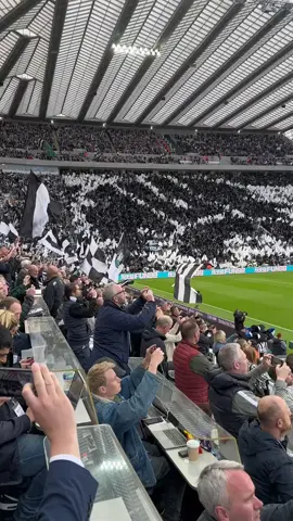 اقوى جمهور في الدوري الانجليزي 🔥🖤🤍#newcastle #نيوكاسل #fyp #