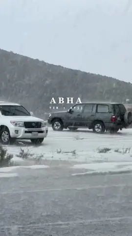 ابها المدينه الشتويه على مدار فصول السنه ، تتفقون🤍. #السوده_الان #المعيه #السسوده 